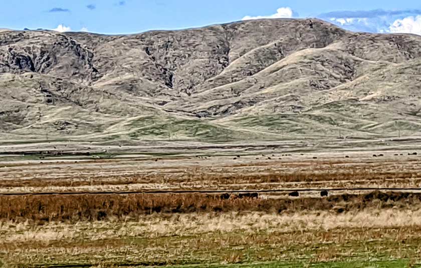 Foothills of a local ranch