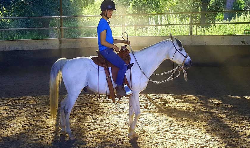 Young woman riding white Arabian horse